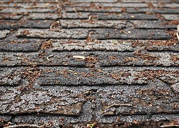 LaGrange Roofing Images